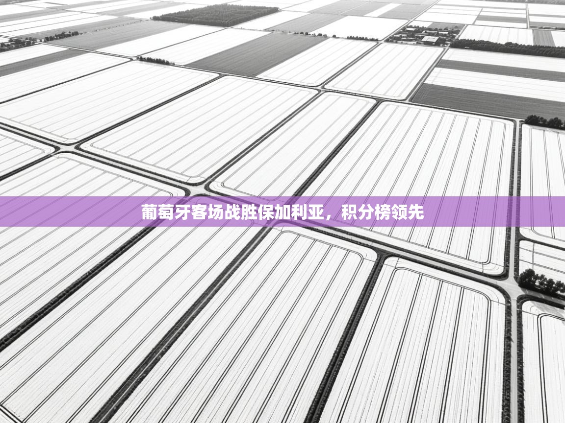 开云体育登录入口-葡萄牙客场战胜保加利亚，积分榜领先