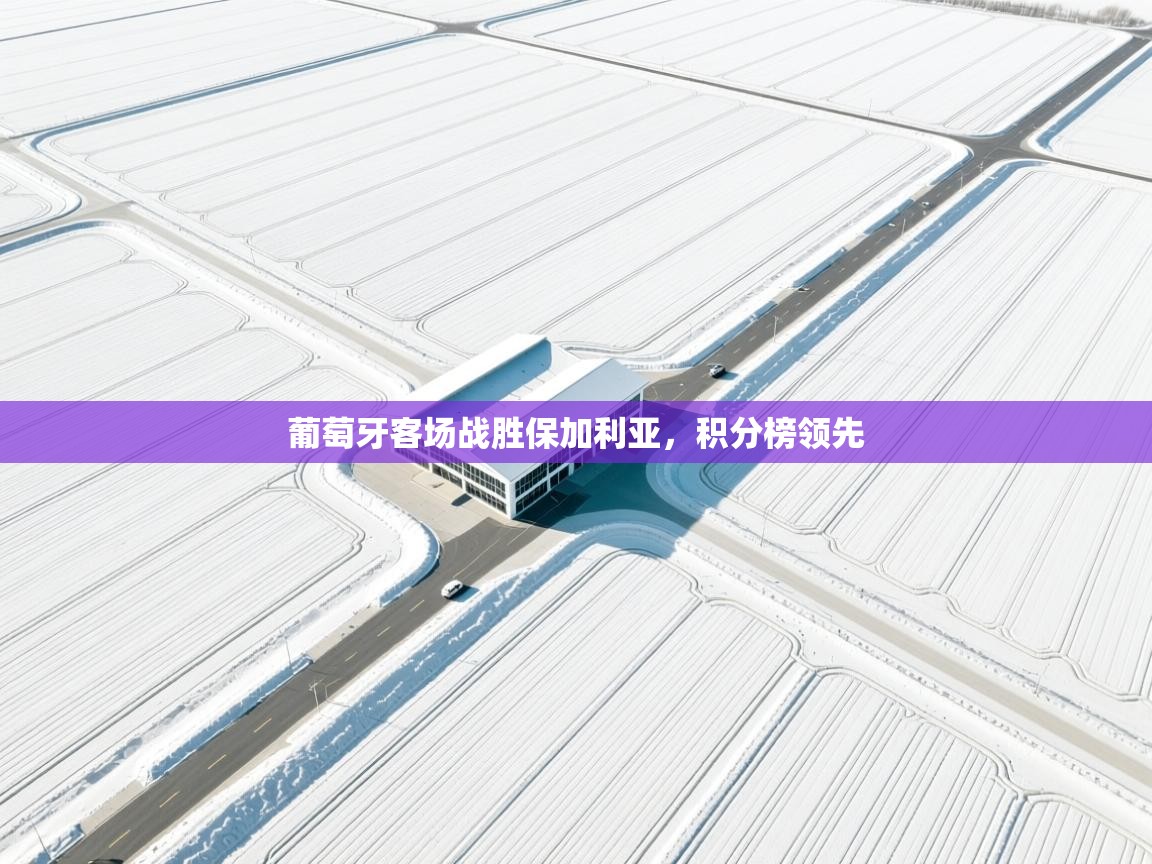 开云体育登录入口-葡萄牙客场战胜保加利亚,积分榜领先  第3张