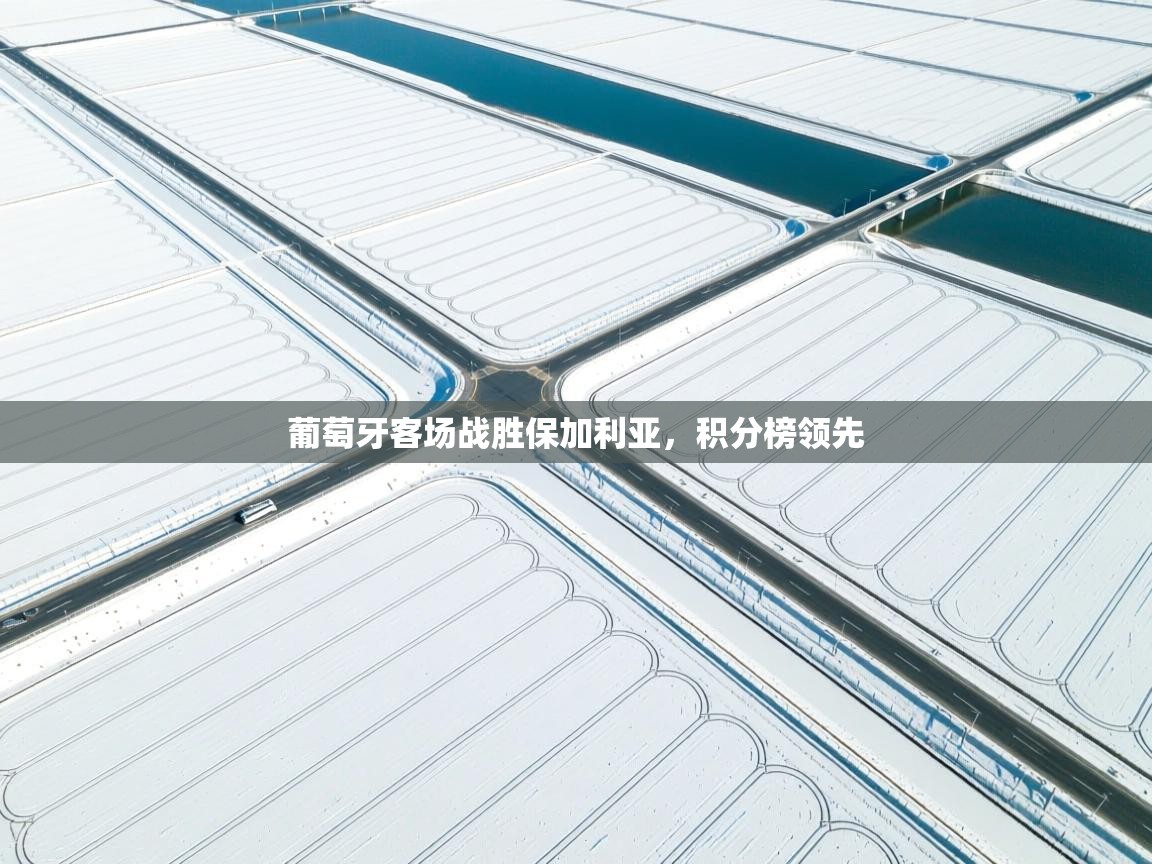 开云体育登录入口-葡萄牙客场战胜保加利亚,积分榜领先  第4张