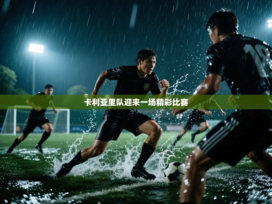 开云kaiyun体育app入口下载官网-卡利亚里队迎来一场精彩比赛 第4张