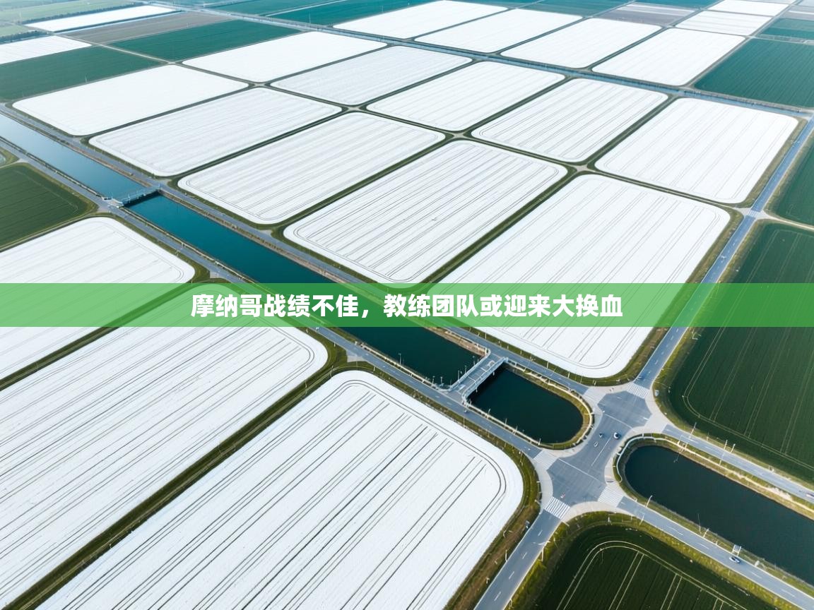 开云体育app下载-摩纳哥战绩不佳,教练团队或迎来大换血 第3张