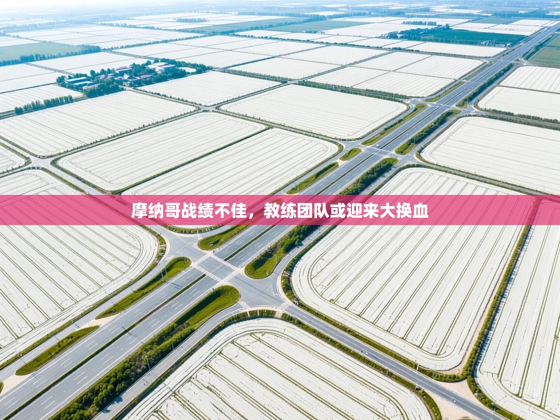 开云体育app下载-摩纳哥战绩不佳,教练团队或迎来大换血 第4张