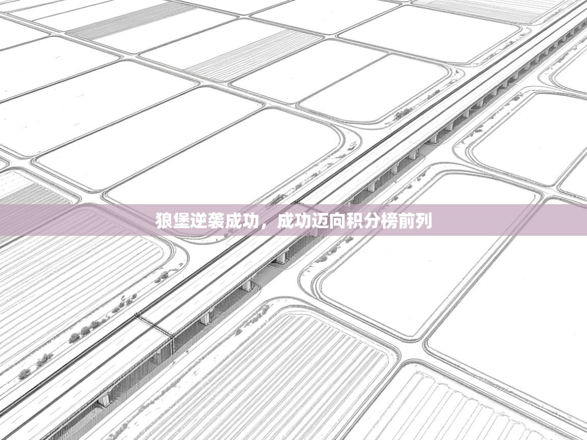 开云体育VIP权益说明-狼堡逆袭成功，成功迈向积分榜前列  第1张