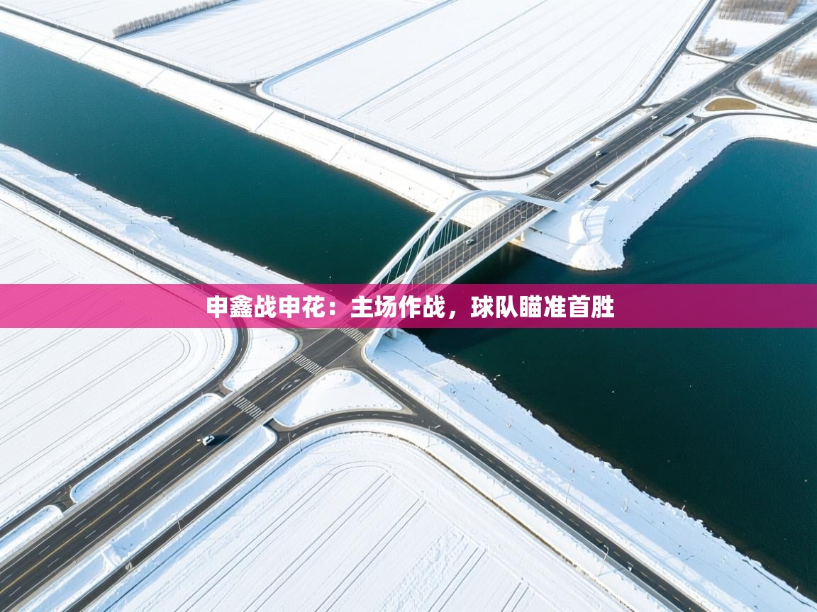 开云体育入口邀请码-申鑫战申花:主场作战,球队瞄准首胜