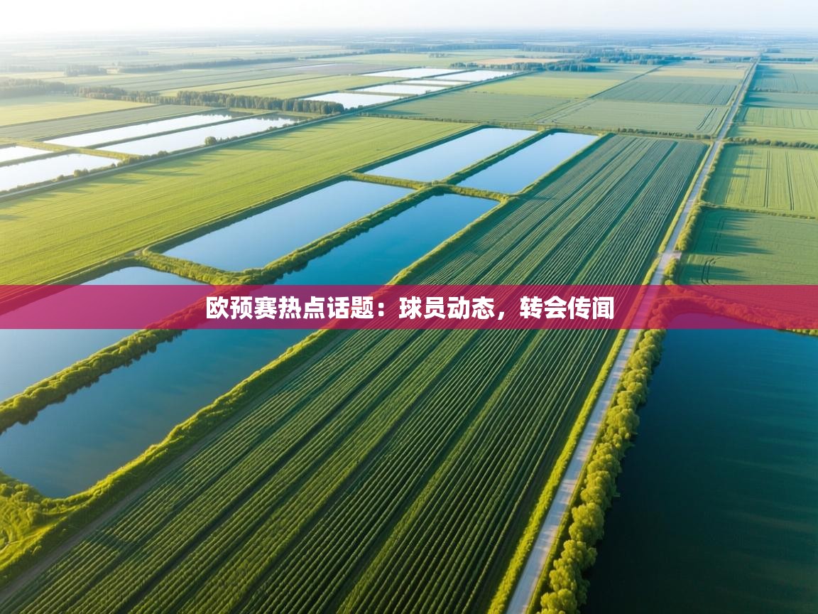 开云体育app网页版入口-欧预赛热点话题:球员动态,转会传闻 第4张