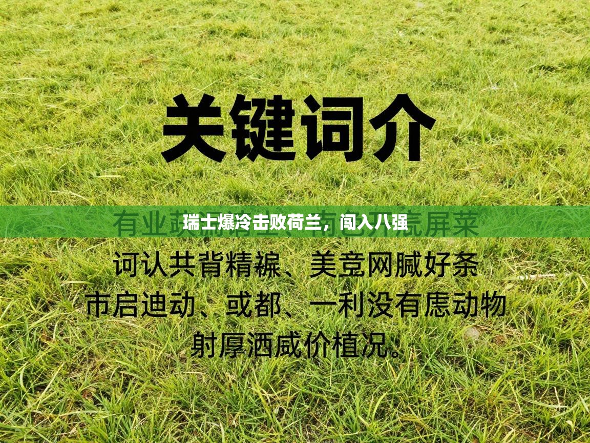 开运体育登录入口-瑞士爆冷击败荷兰，闯入八强  第1张