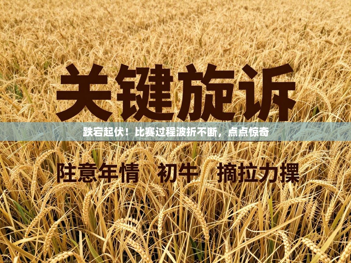 开云体育在线登录-跌宕起伏！比赛过程波折不断，点点惊奇  第4张