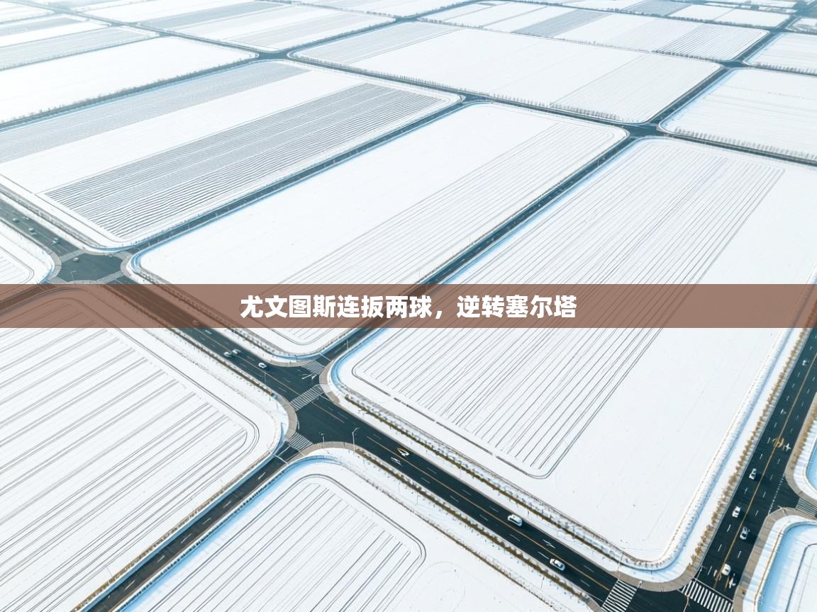 云开体育app官网入口网页版-尤文图斯连扳两球，逆转塞尔塔  第2张