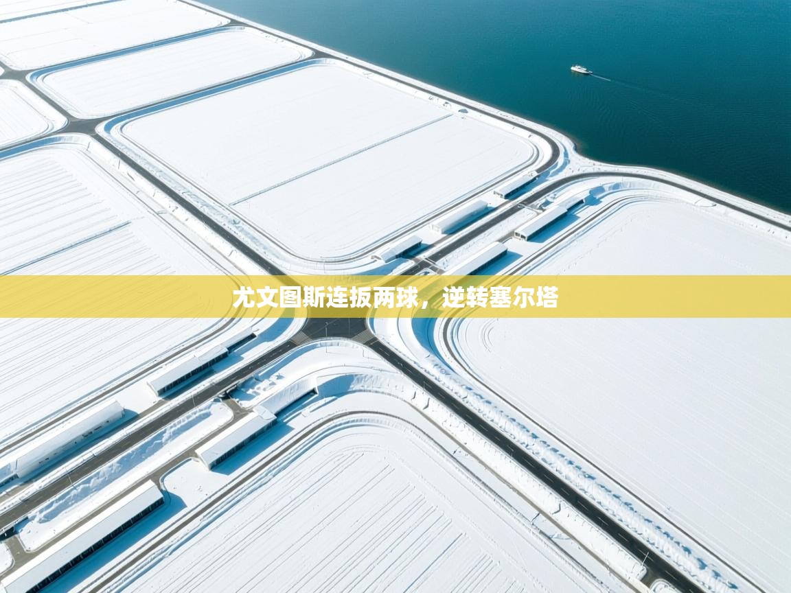 云开体育app官网入口网页版-尤文图斯连扳两球，逆转塞尔塔  第4张