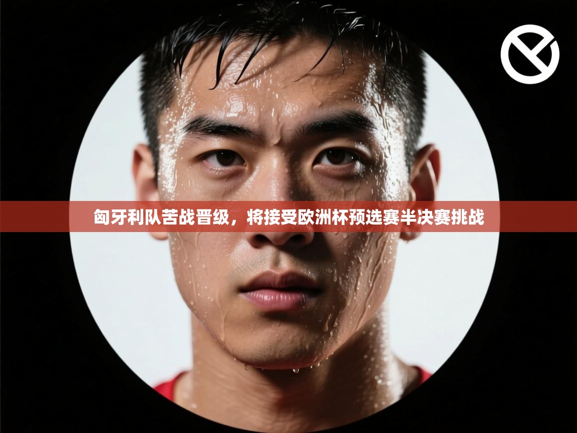 开云体育入口注册-匈牙利队苦战晋级，将接受欧洲杯预选赛半决赛挑战  第2张