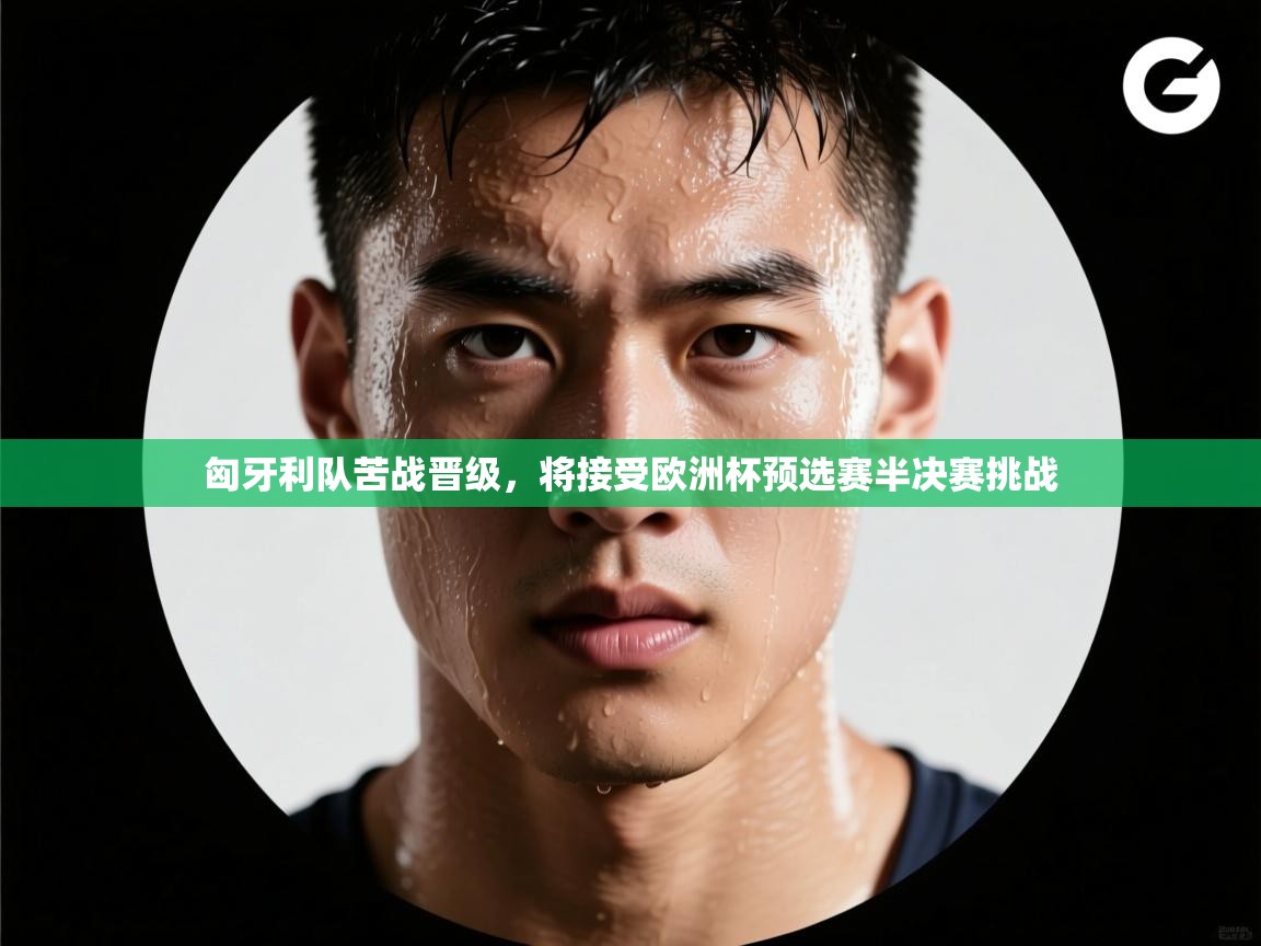 开云体育入口注册-匈牙利队苦战晋级，将接受欧洲杯预选赛半决赛挑战  第3张