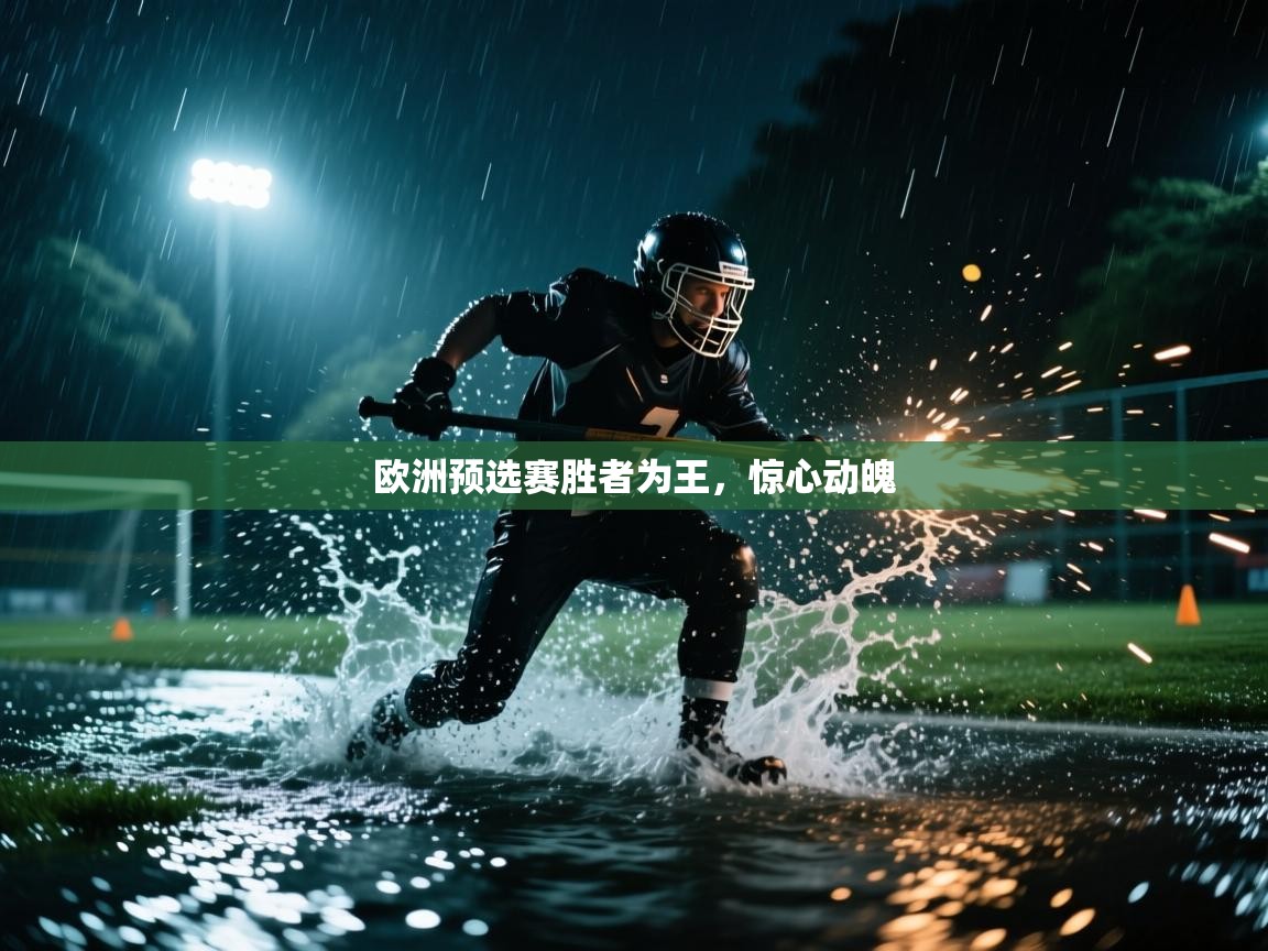 开云入口-欧洲预选赛胜者为王，惊心动魄  第2张