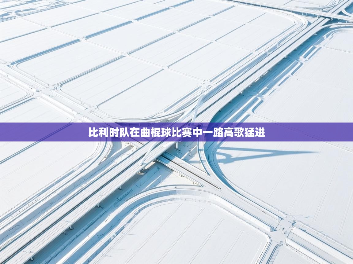 -比利时队在曲棍球比赛中一路高歌猛进