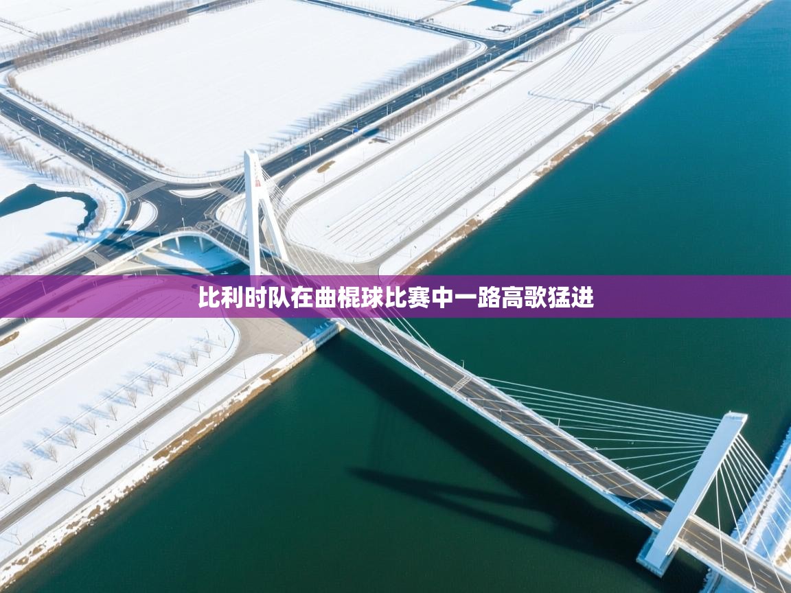 -比利时队在曲棍球比赛中一路高歌猛进 第2张